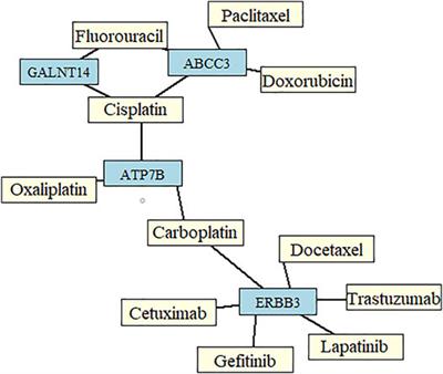 Identification of Candidate Therapeutic Genes for More Precise Treatment of Esophageal Squamous Cell Carcinoma and Adenocarcinoma